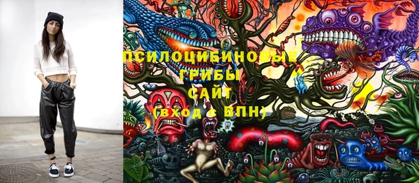 прущая мука Абаза