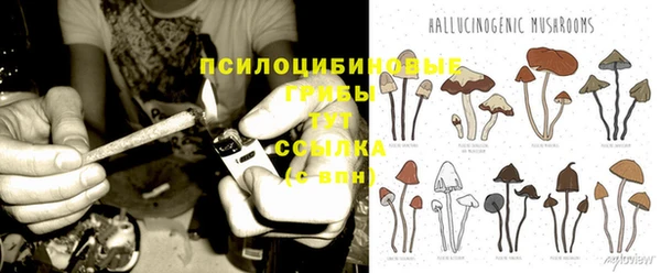 стафф Абдулино